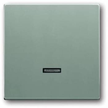 Busch Jaeger 2CKA006599A2887