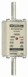Ferraz Shawmut A218247