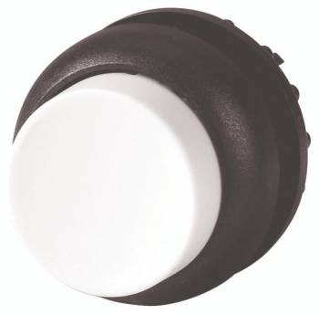 Moeller 216666