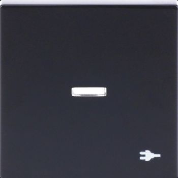 Busch Jaeger 2CKA001731A4036