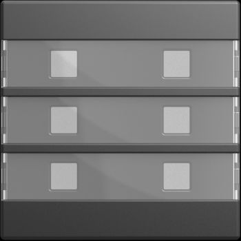 Busch Jaeger 2CKA001582A0460