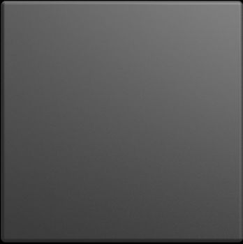 Busch Jaeger 2CKA001582A0461