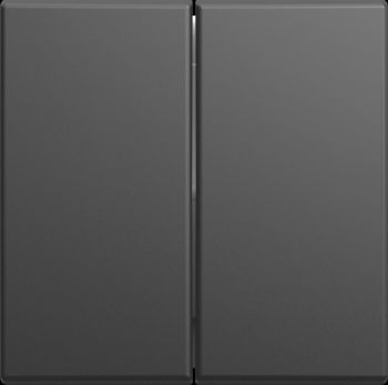 Busch Jaeger 2CKA001731A4040