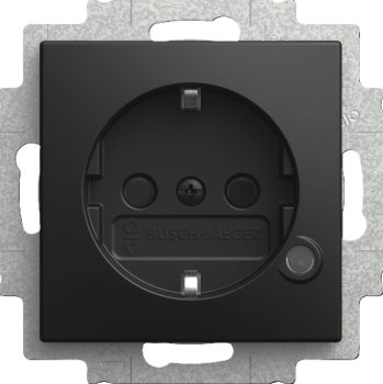 Busch Jaeger 2CKA002013A5536