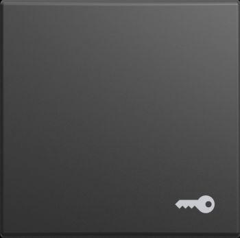 Busch Jaeger 2CKA001731A4049