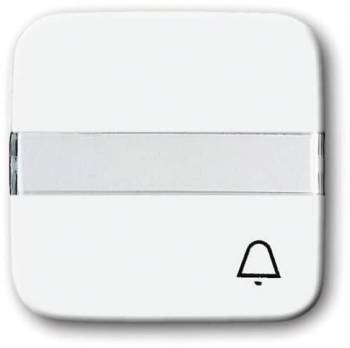 Busch Jaeger 2CKA001731A0538