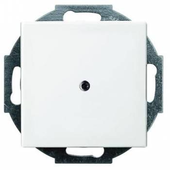 Busch Jaeger 2CKA001710A4061