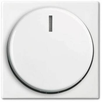 Busch Jaeger 2CKA006599A3017