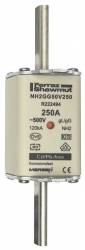 Ferraz Shawmut R222494