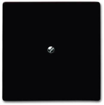 Busch Jaeger 2CKA001710A3799