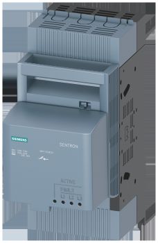 Siemens 3NP11231BC24