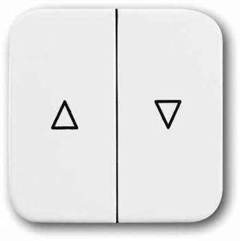 Busch Jaeger 2CKA001713A0163