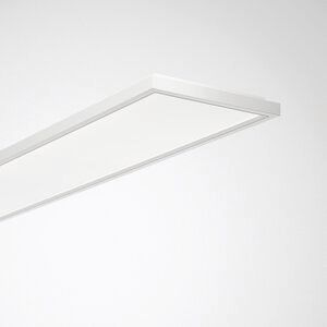 Trilux 8168162