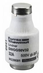 Lindner M229091