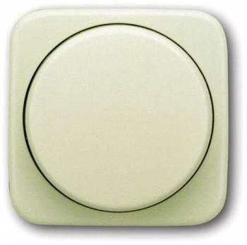 Busch Jaeger 2CKA006599A1334