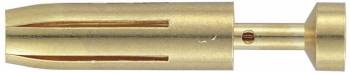 Harting 09330006217