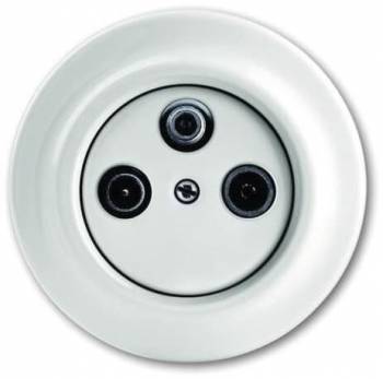 Busch Jaeger 2CKA001724A4309