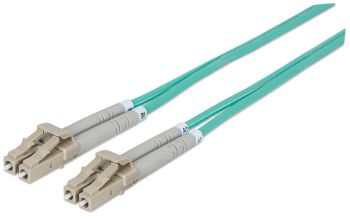 Intellinet 750868