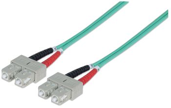 Intellinet 750844