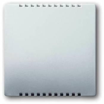 Busch Jaeger 2CKA006599A2924