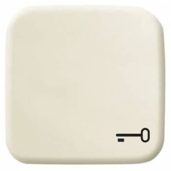 Busch Jaeger 2CKA001731A0298