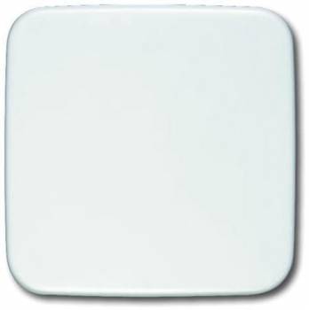 Busch Jaeger 2CKA001434A0554