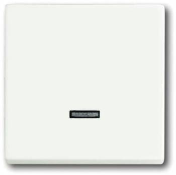 Busch Jaeger 2CKA006599A2963