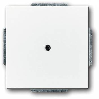 Busch Jaeger 2CKA001710A3161