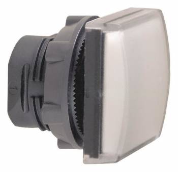 Schneider Electric ZB5CV013