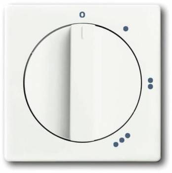 Busch Jaeger 2CKA001710A3890