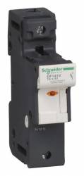 Schneider Electric DF141V