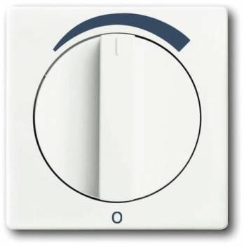 Busch Jaeger 2CKA001710A3808