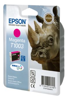 Epson C13T10034010