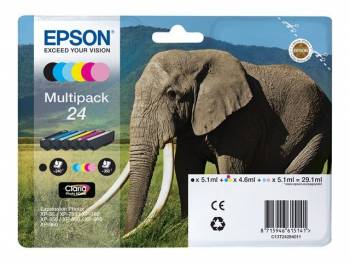 Epson C13T24284011