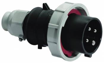 BALS 21350