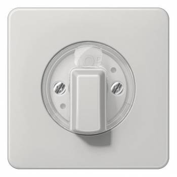 JUNG CD1541LG