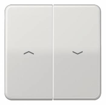 Jung CD595PBFLG