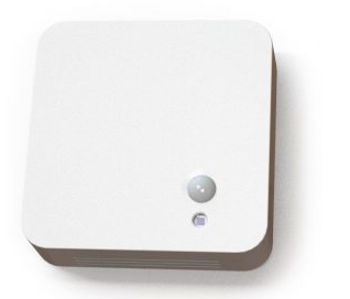 ELSYS ERSeye