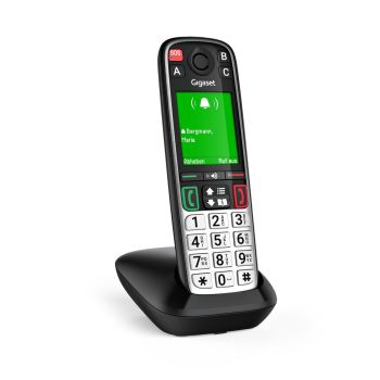 GIGASET S30852-H3165-B101