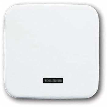 Busch Jaeger 2CKA006599A2816