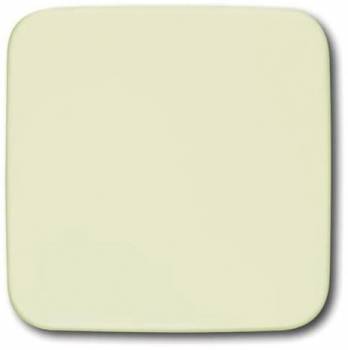 Busch Jaeger 2CKA001582A0360