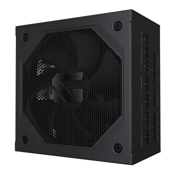 Gigabyte GP-GME1000GM PG5