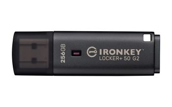 Kingston IKLP50G2/256GB
