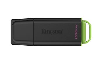 Kingston DTXG2/256GB