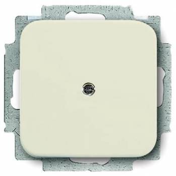 Busch Jaeger 2CKA001715A0218