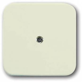 Busch Jaeger 2CKA001724A0244