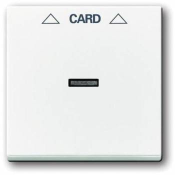 Busch Jaeger 2CKA001710A3641