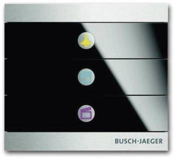 Busch Jaeger 2CKA006310A0120