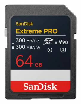 SANDISK SDSDXDM-064G-GN4IN