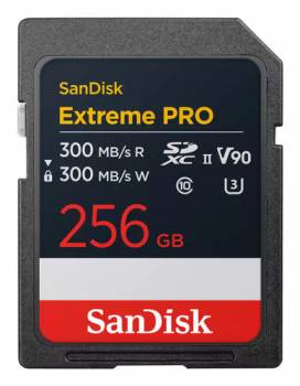 SANDISK SDSDXDM-256G-GN4IN